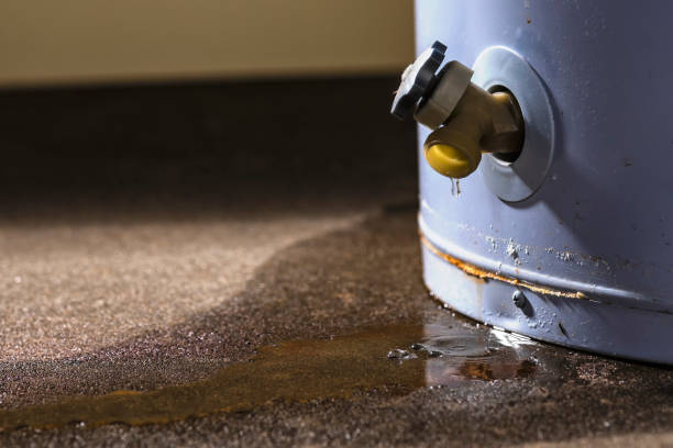 Water damage restoration insurance claims in Folkston, GA