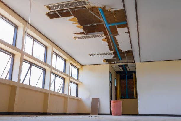 Best Fire Damage Restoration  in Folkston, GA