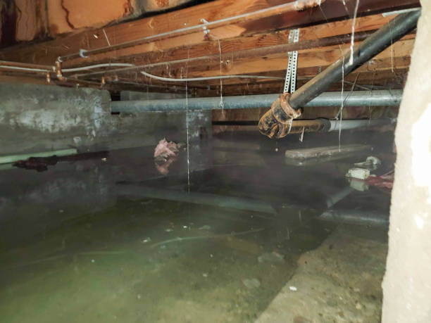 Professional Water damage restoration in Folkston, GA