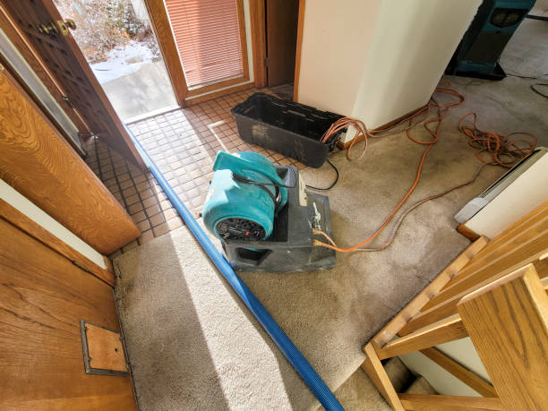 Best Water damage contractors near me  in Folkston, GA