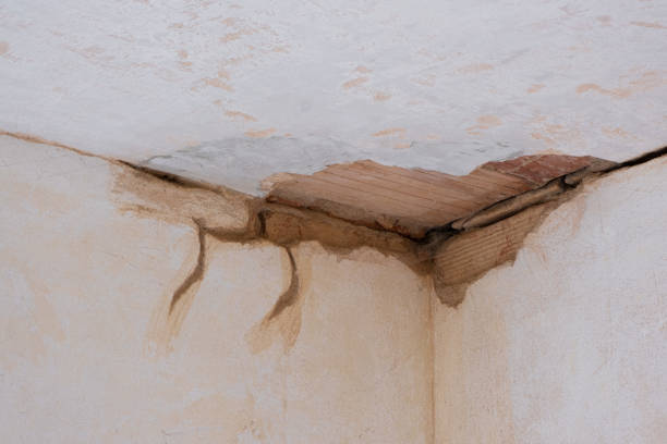 Best Water damage restoration services  in Folkston, GA