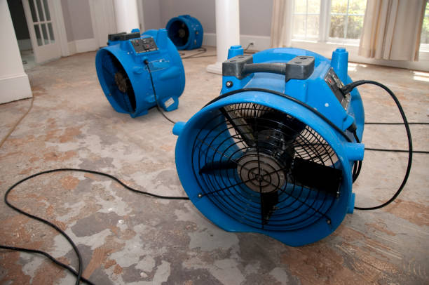 Best Water damage restoration near me  in Folkston, GA