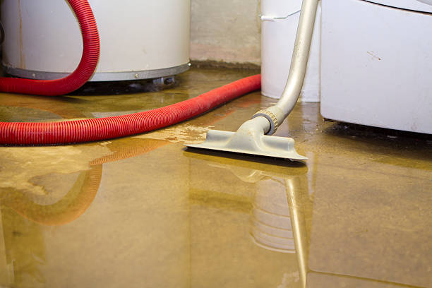 Best Water damage restoration near me  in Folkston, GA
