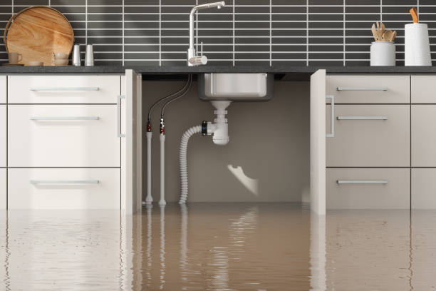 Best Water damage cleanup near me  in Folkston, GA