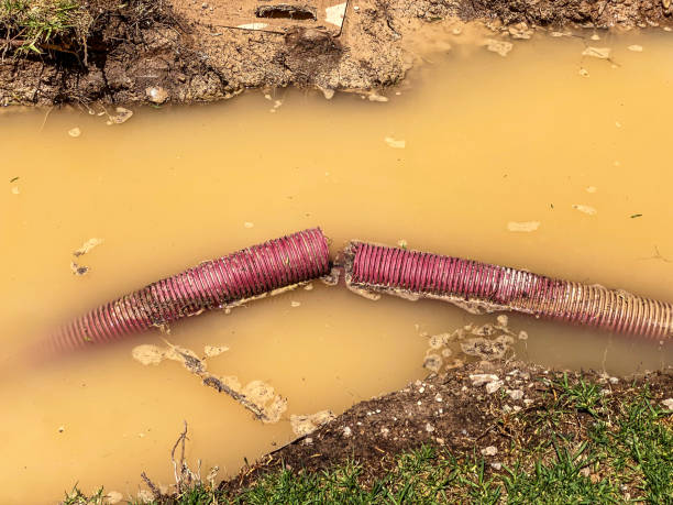 Best Professional water damage repair  in Folkston, GA