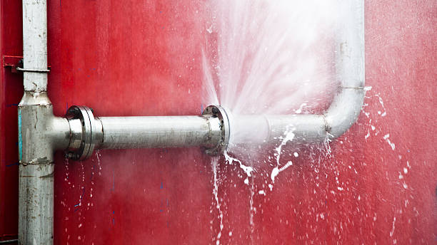 Best Flooded house restoration  in Folkston, GA