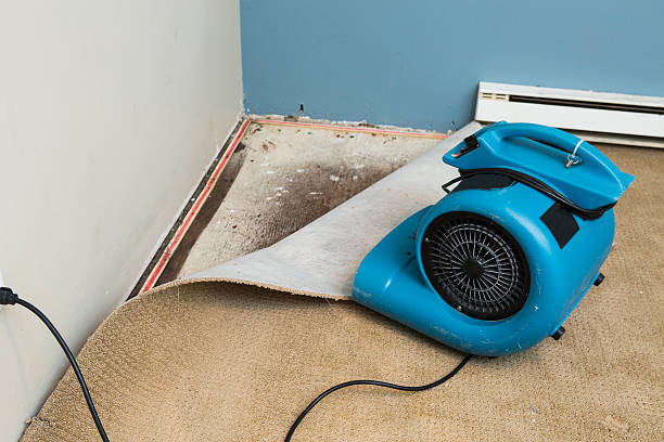 Best 24-hour water damage restoration  in Folkston, GA